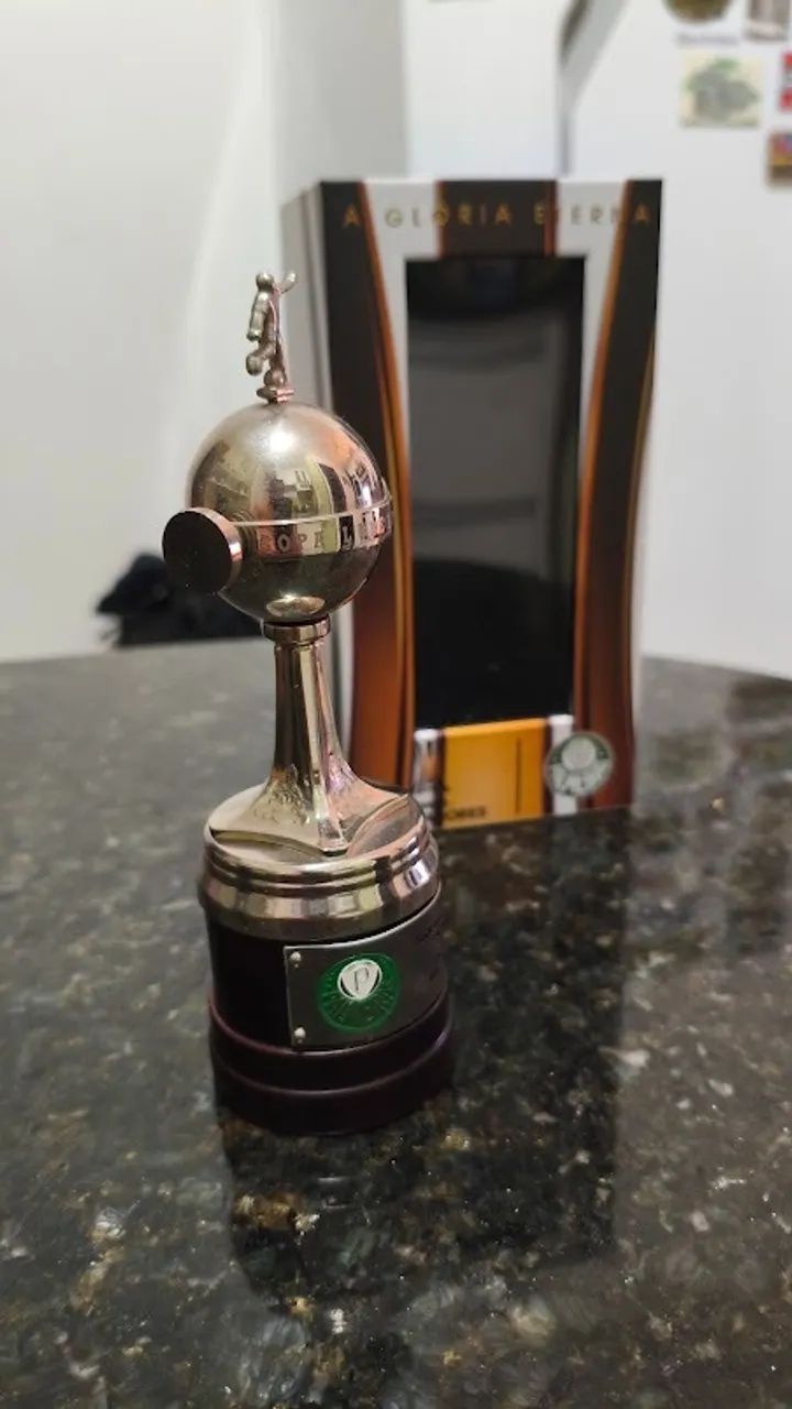 Taça Libertdores Palmeiras (miniatura) - Foto 2