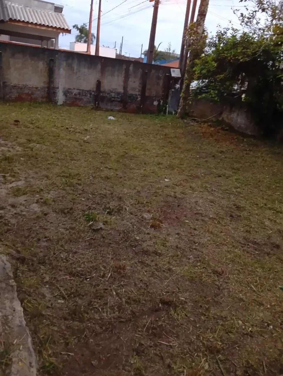 Corte gramas limpeza terrenos roçadas  - Foto 3