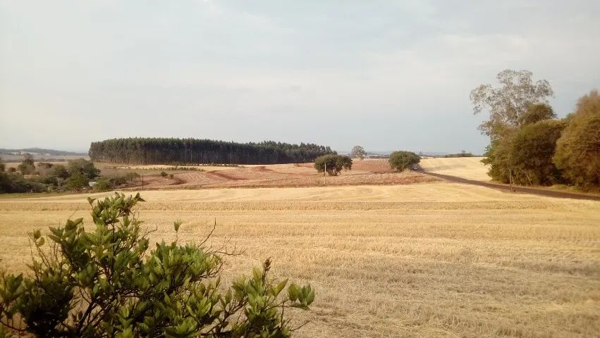 Terreno, Sitio dentro da cidade - 35 mil m² - Foto 2