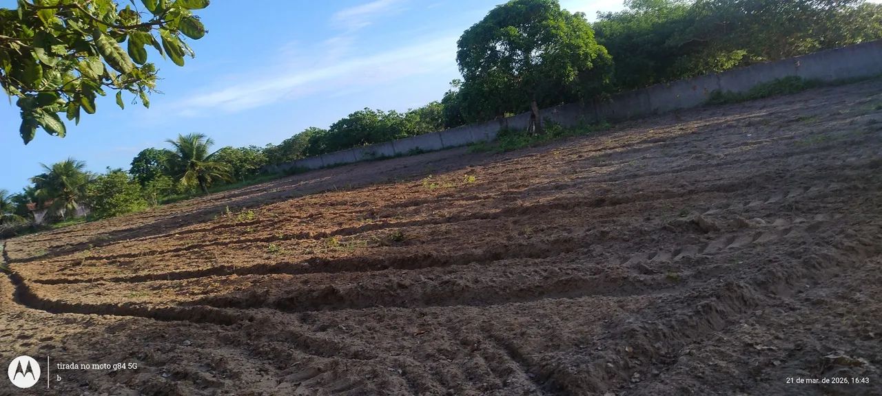 Vender Ser Um Terreno Chácara  - Foto 5