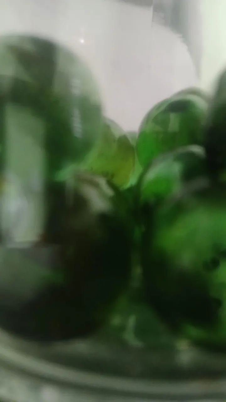 20 bolinhas de gude - Foto 2
