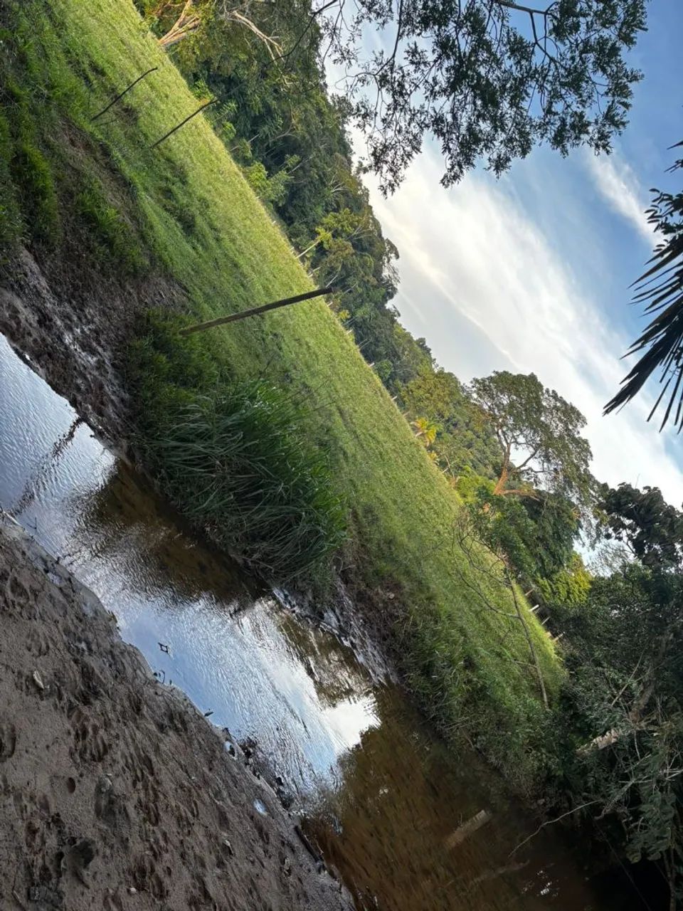 Vendo chácara bem localizada! - Foto 5