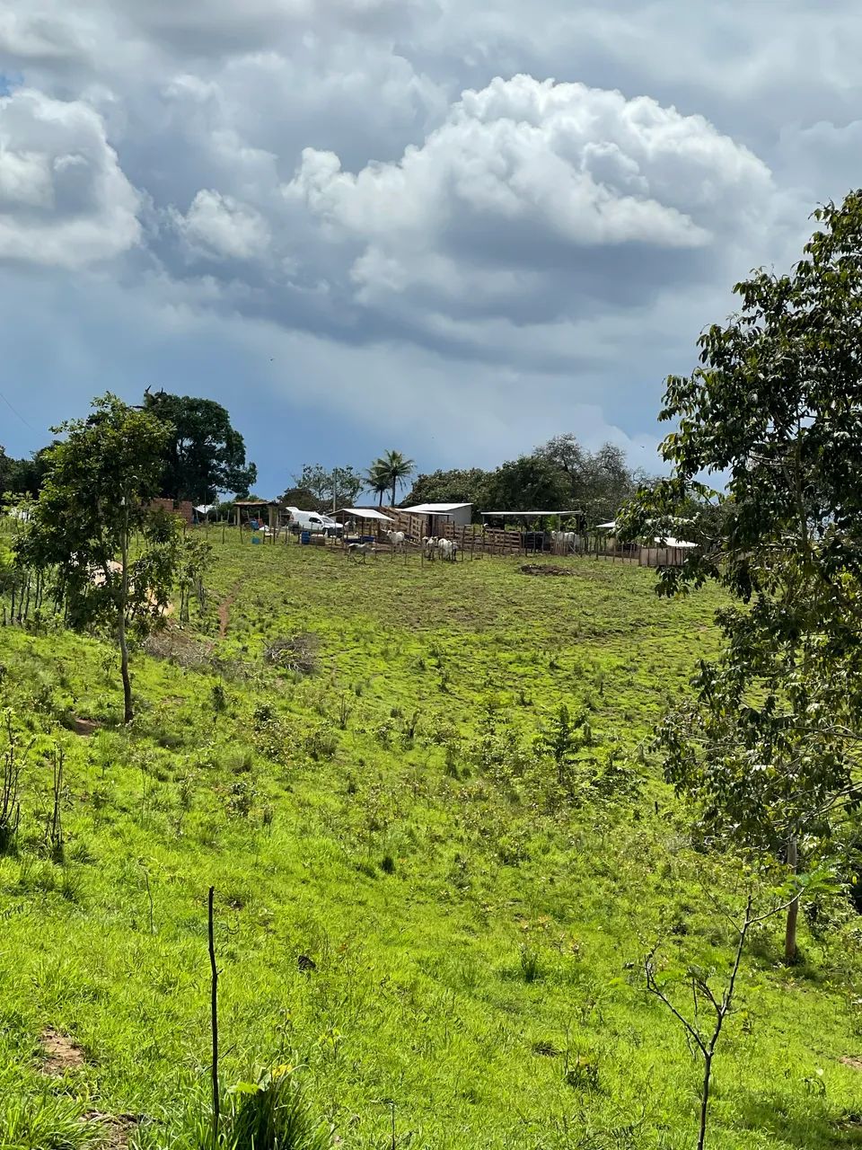 Sítio documentado ideal para criação ou instalar usina solar - Foto 4