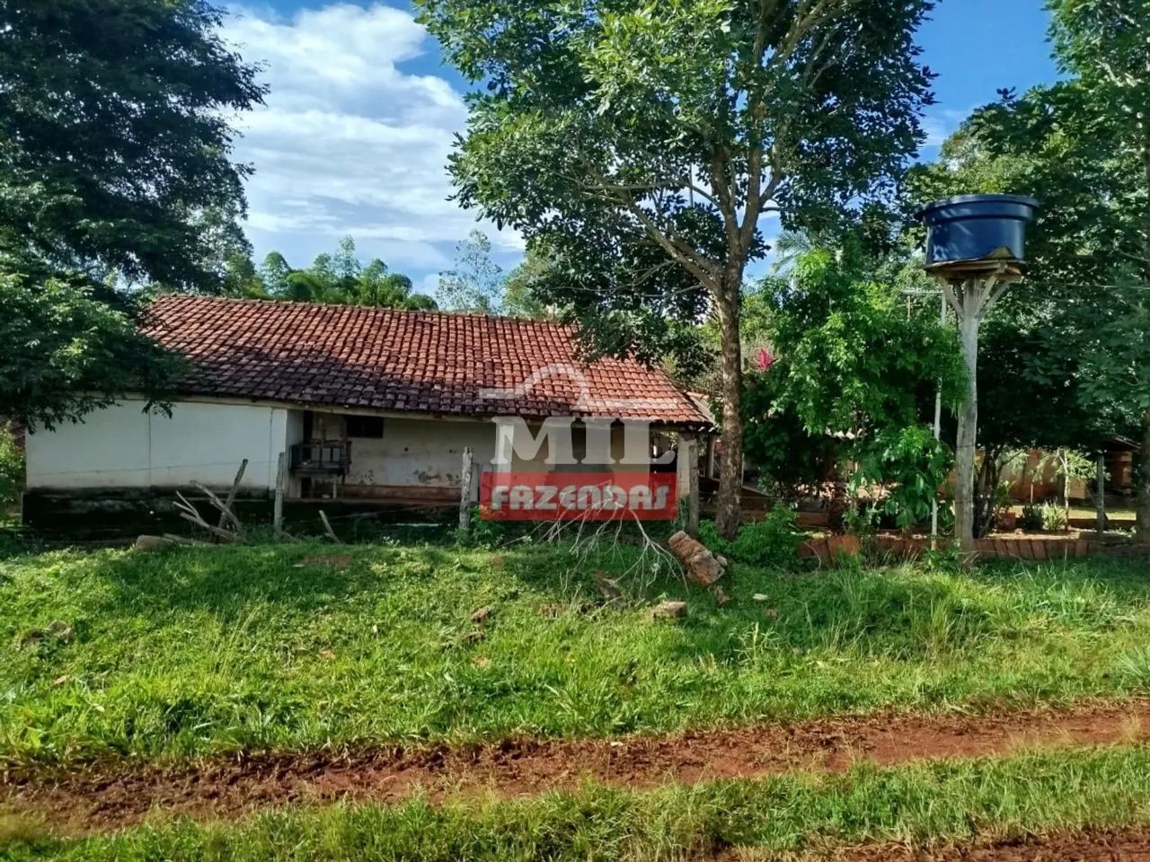 Chácara 37,500 M² em Caturaí - MG - Foto 5