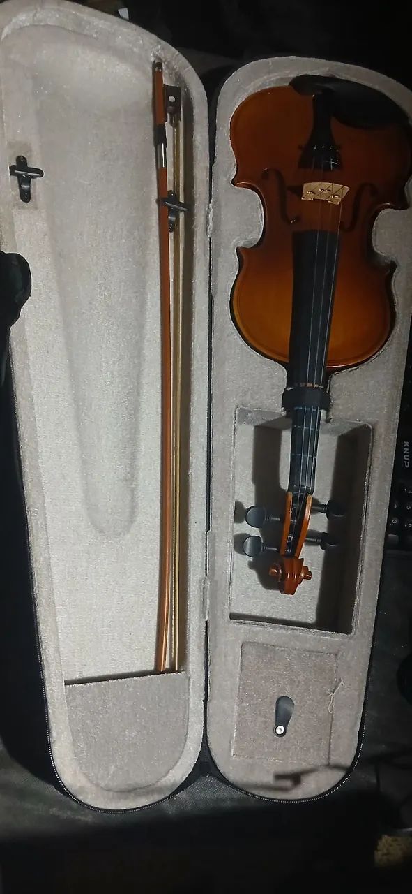 violino 4/4 - Foto 2