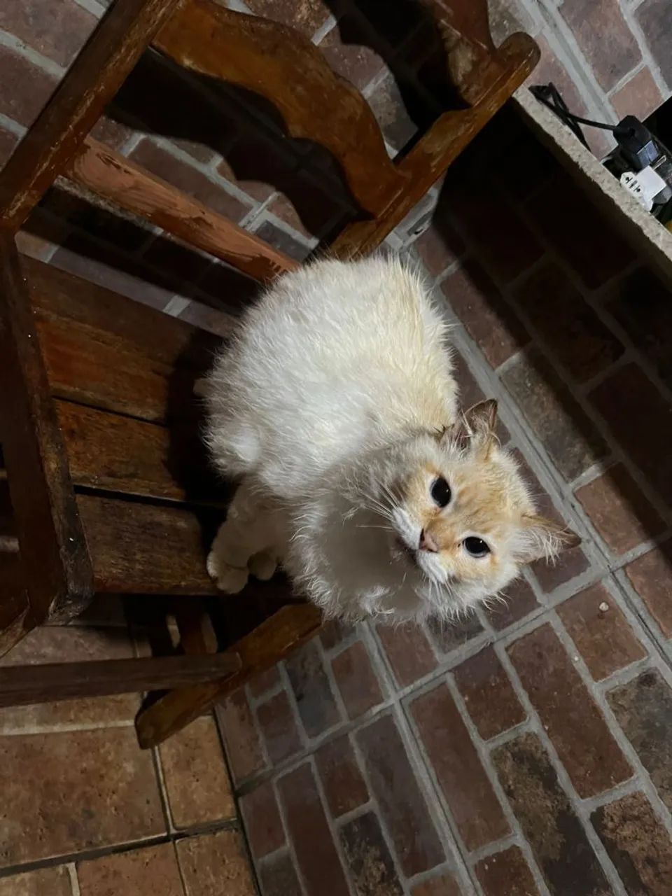 Doa se gata  - Foto 5