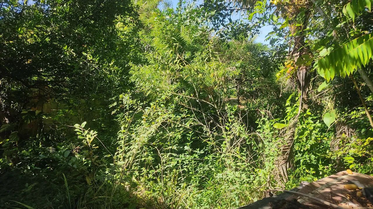 Terreno chácara sitio Nova Almeida  - Foto 5
