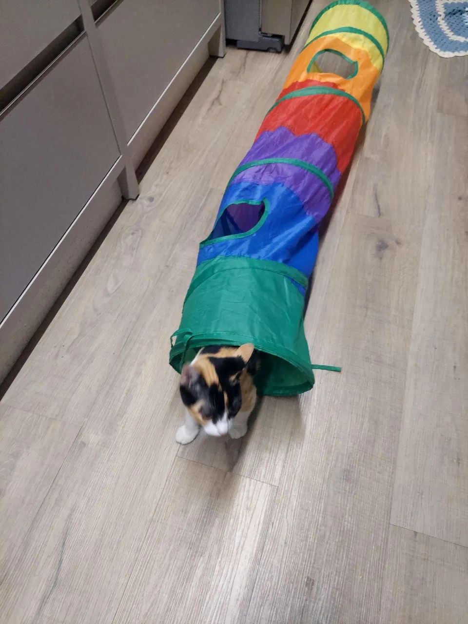 2 Brinquedos pra gatos - Foto 4