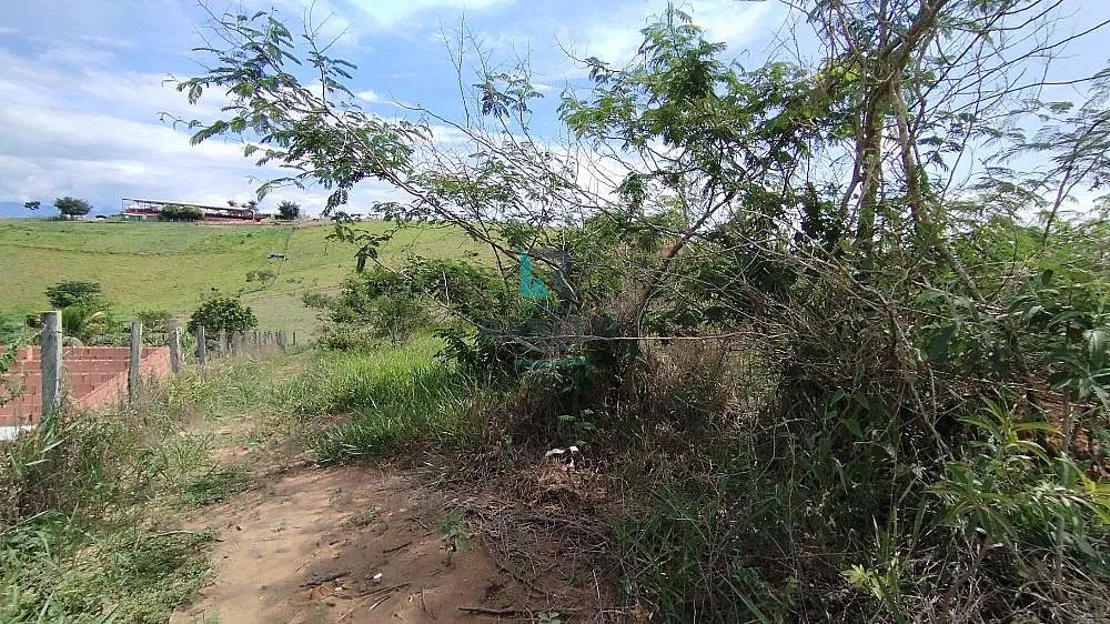 TERRENO COM 3.750 MTS NO QUATINGUA EM LORENA-SP - Foto 5