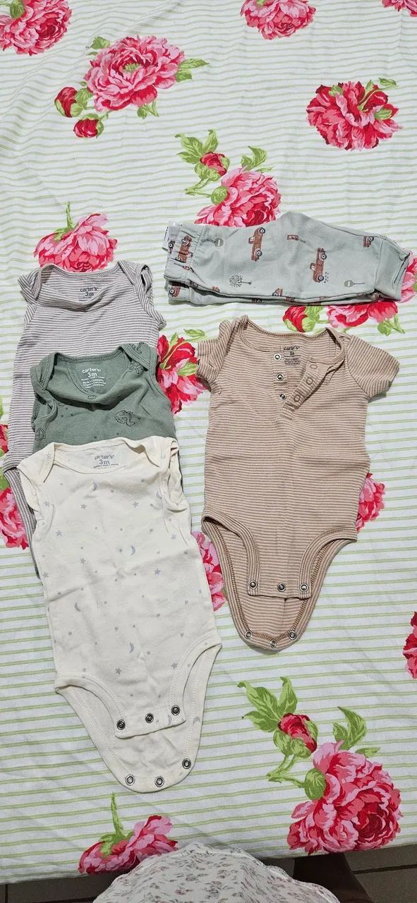 Lote Carter's 
