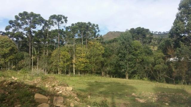 Sitio em Urubici/ chácara em Urubici - Foto 8