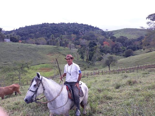 Fazenda em Camacã - Foto 7
