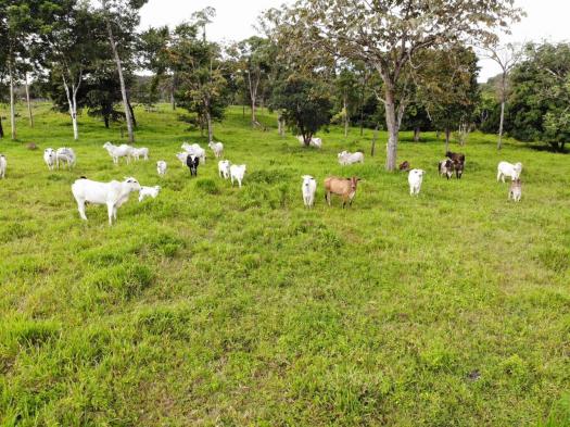 Fazenda em lugar paradisíaco, - Foto 9