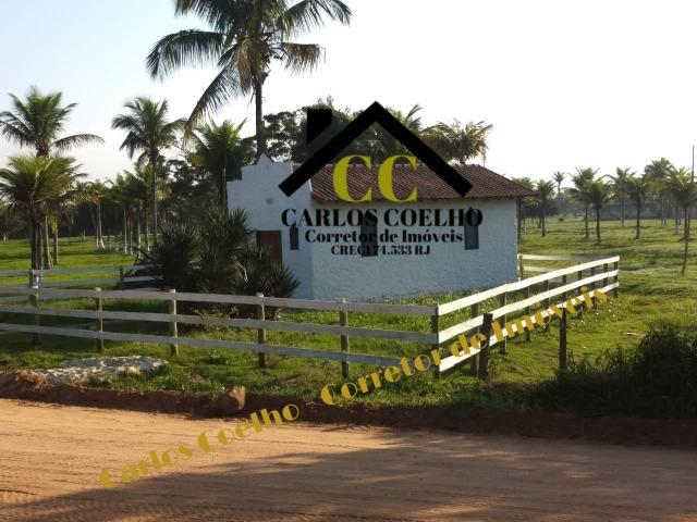 Jô - Terrenos próximo ao Trevo de Búzios - Foto 3