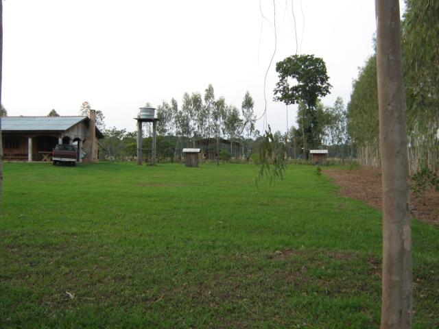 Fazenda para arrendamento de soja - Foto 2