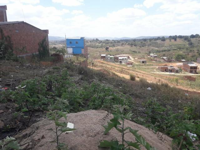 Terreno pra vende logo - Foto 5
