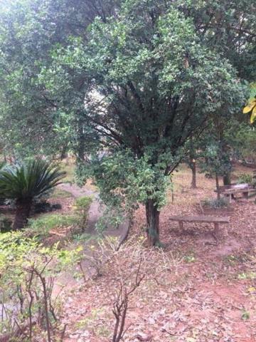 Chácara para alugar em Estancia jockei club, Sao jose do rio preto cod:L93 - Foto 6