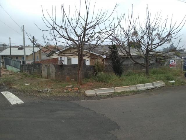 8287 | terreno à venda em morro alto, guarapuava - Foto 2
