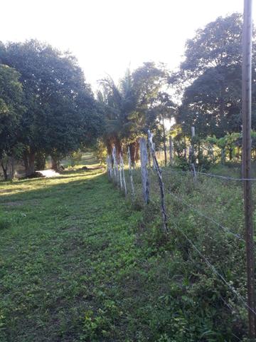 Vendo excelente chácara as margens da ma 216** 30 hectares em Penalva ma