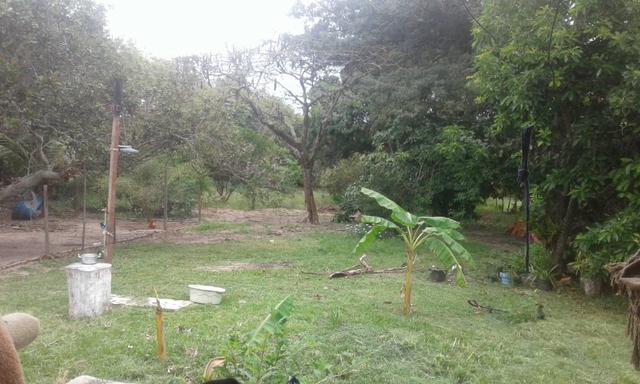 Chacara - Foto 9
