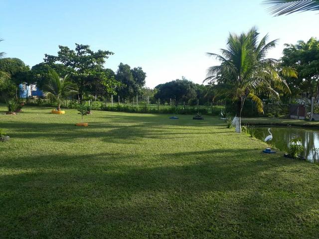 Sítio em São Pedro da aldeia - Foto 19