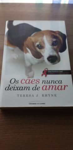 Os cães nunca deixam de amar