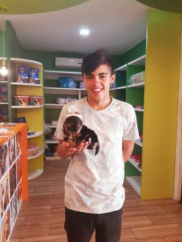 Escolha seu filhote na melhor!! BABYSPET