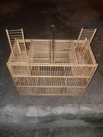 Gailas de ausapao de cassa - Foto 4