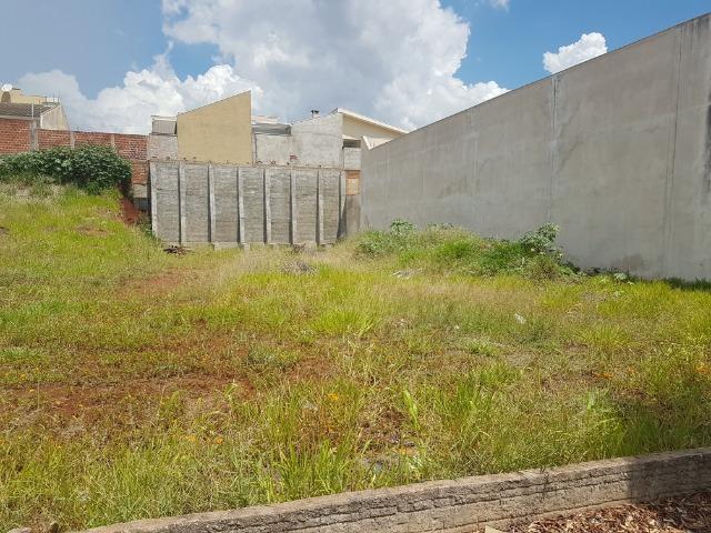 Alugo Terreno na Avenida Américo Belay 539 m²- Jardim Dias I - Foto 4