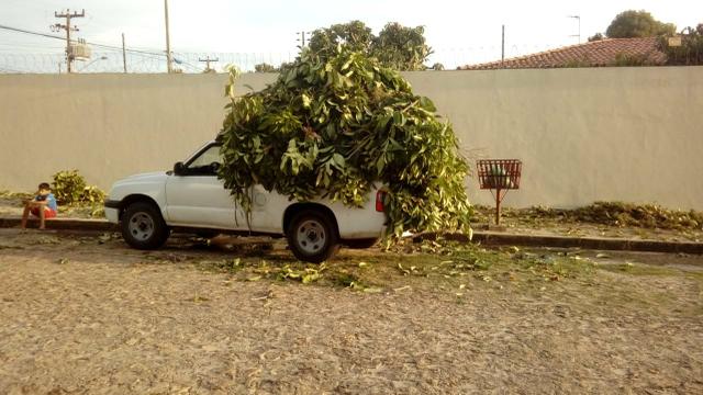 Fretes e serviços - Foto 2