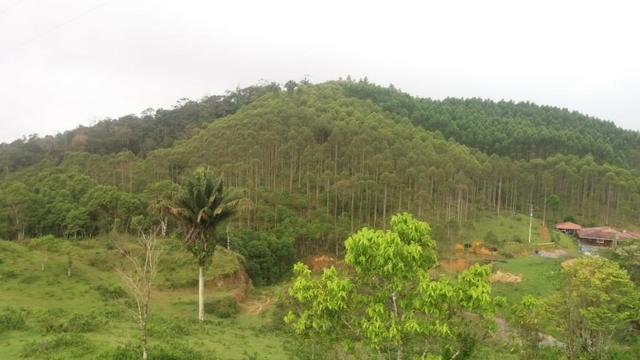 Fazenda Rio Pequeno, Campina Grande do Sul/PR - Foto 11