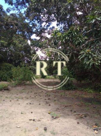 Chacara a venda próximo ao aeroporto Rio Largo - Foto 12