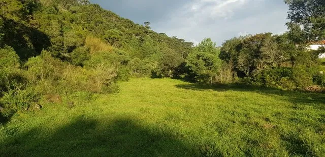 1 hectare a venda dentro da cidade de Urubici
