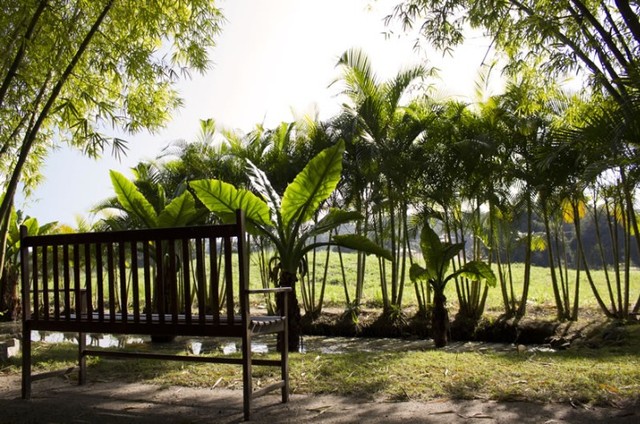 Condomínio Pedra Verde Maricá - Venha morar cercado da natureza! - Foto 7