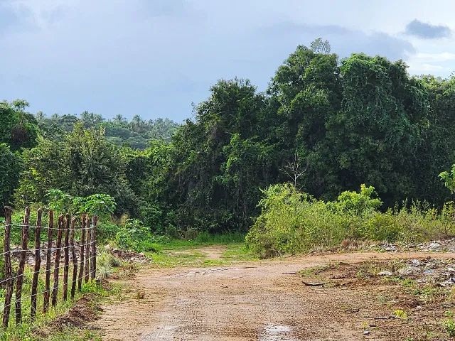 Terreno em Parque das  Nações - Bosque das Orquídeas - Foto 2