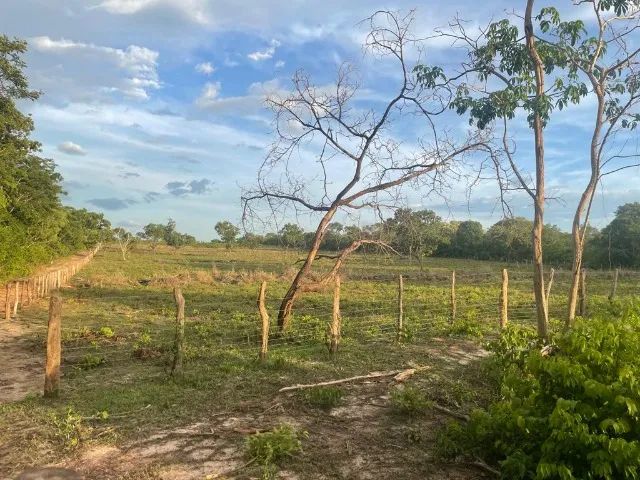 Fazenda em Timon do Maranhão
