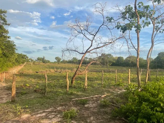Fazenda em Timon do Maranhão
