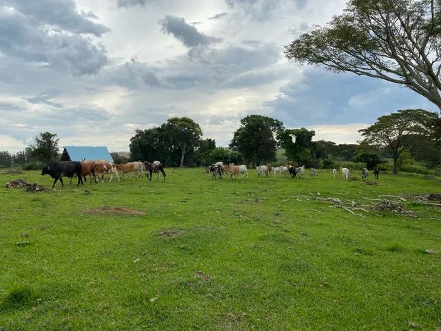 foto - Piracicaba - Área Rural de Piracicaba