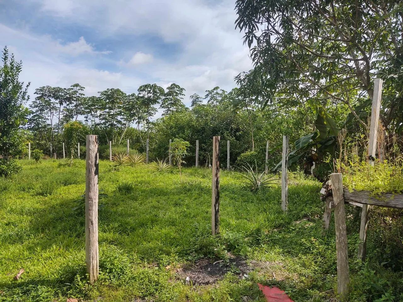 foto - Manaus - Adrianópolis