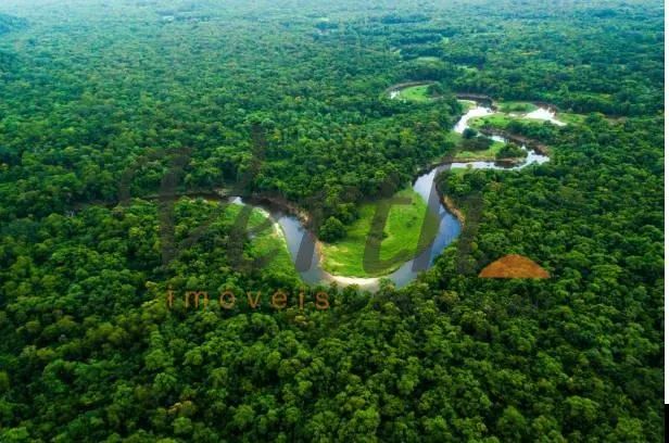 fazenda - Centro - Itamarati - Foto 4