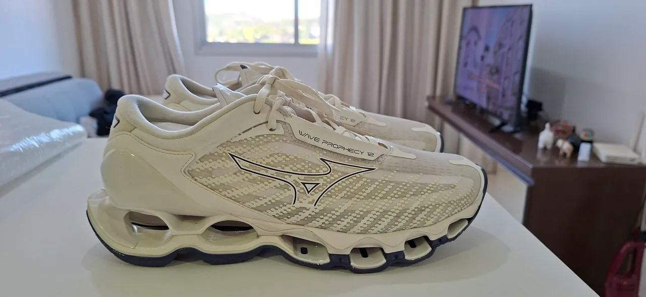 Mizuno Wave Prophecy 12