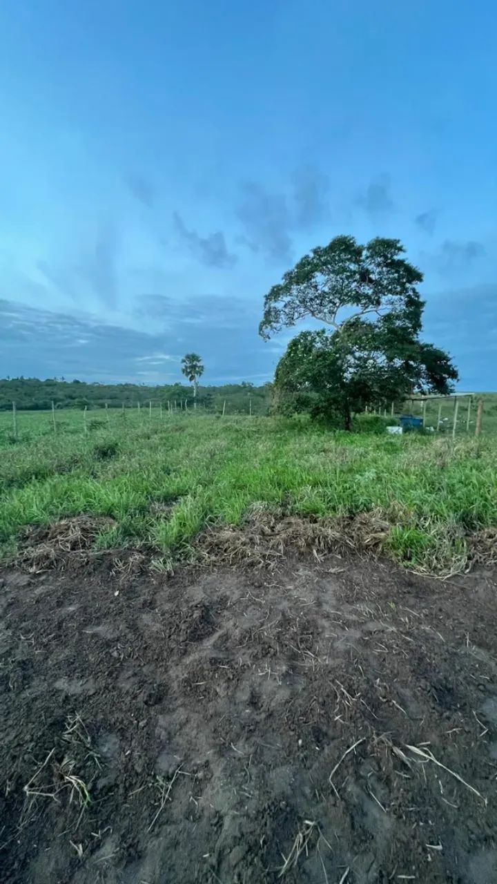 Lote 800 m2 em Retiro de Coração de Maria - Foto 2