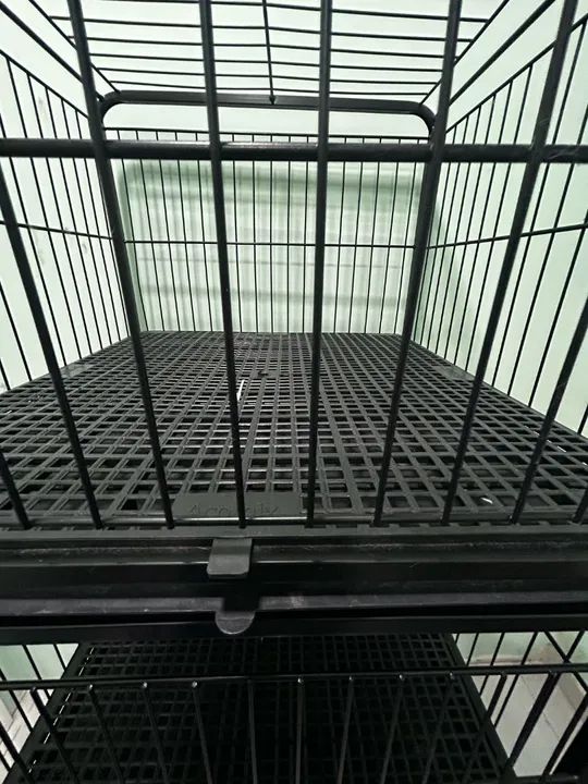 Gaiola para animais Banho e tosa. - Foto 3