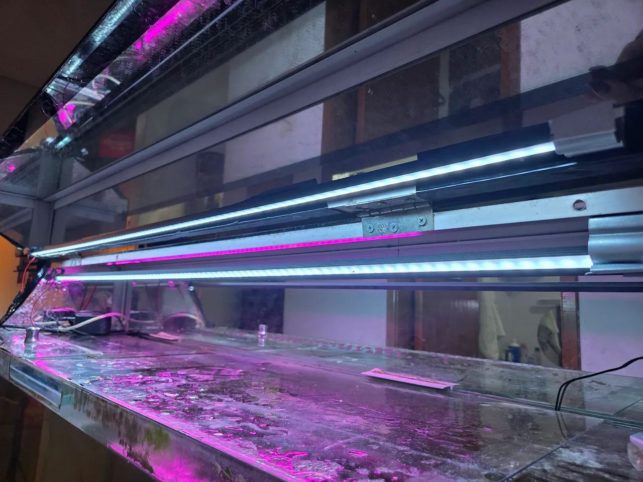 Aquário completo, com móvel  - Foto 3