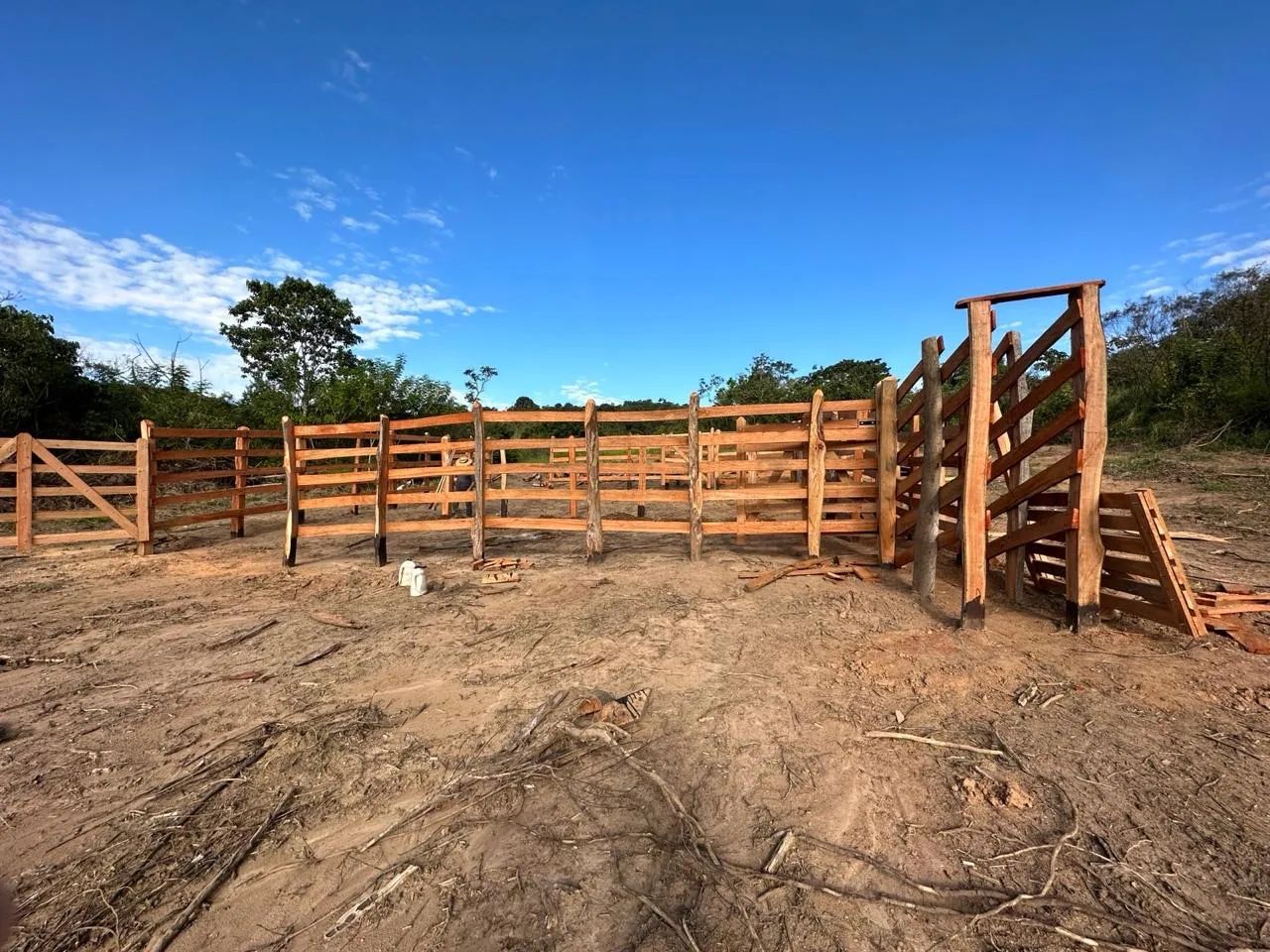 Foto - Campinas - Cambuí