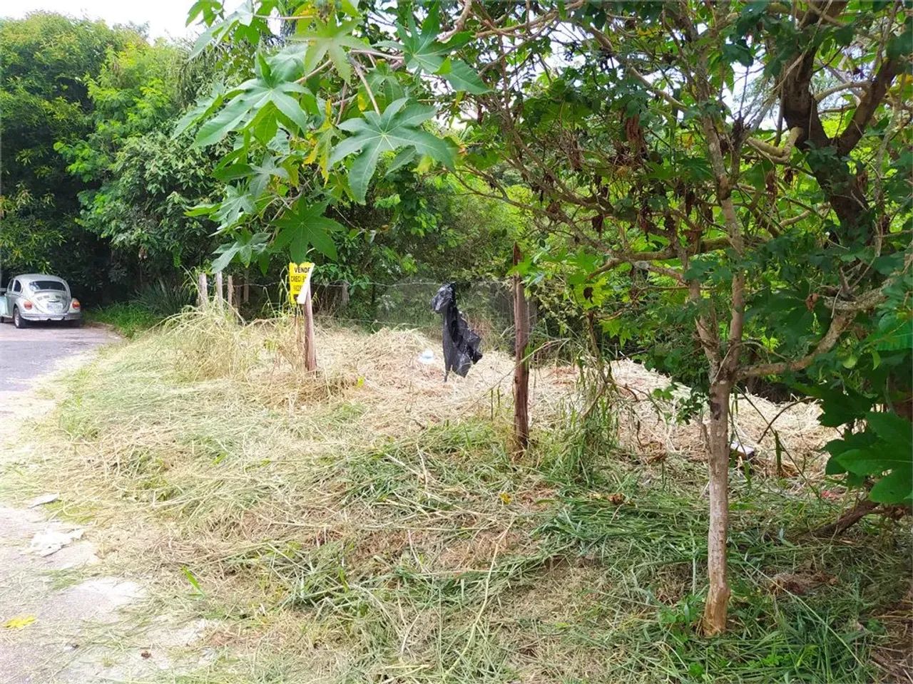 Terreno com 325 m² - Jardim Vinhas do Sol - Foto 4