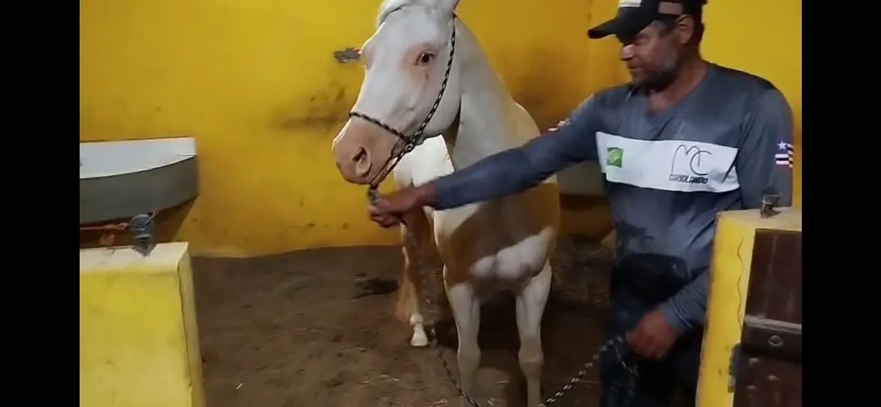 Destiny spark  - Foto 2