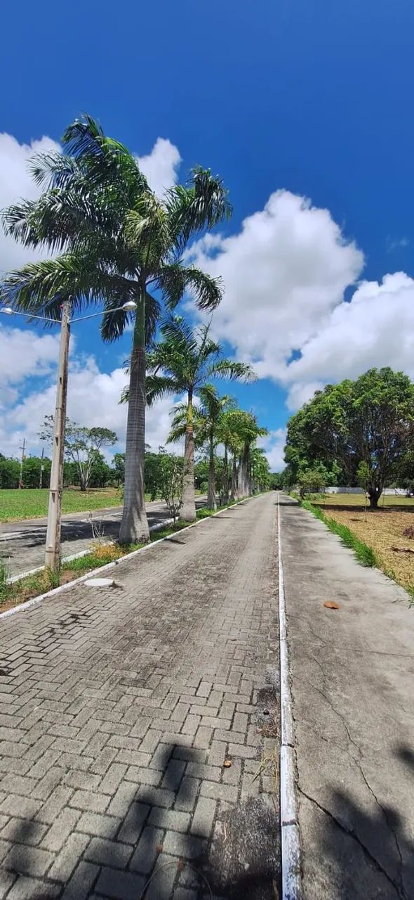 Foto - Recife - Guabiraba
