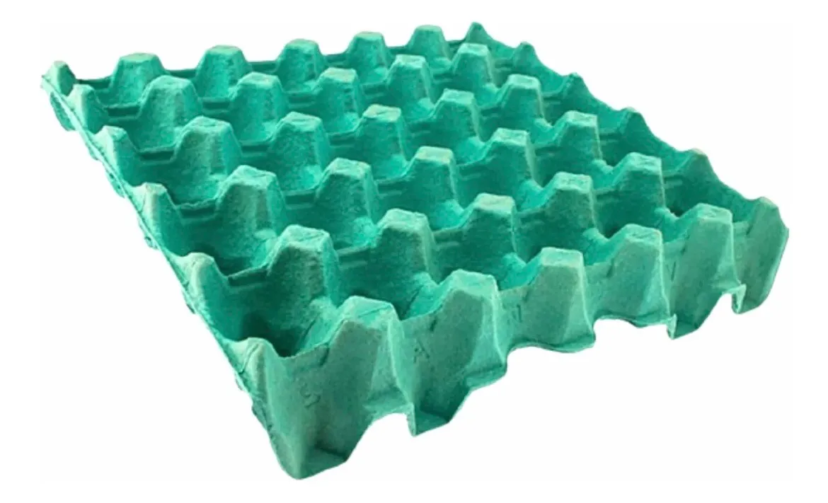 Kit com 164 cartela para 30 ovos de galinha