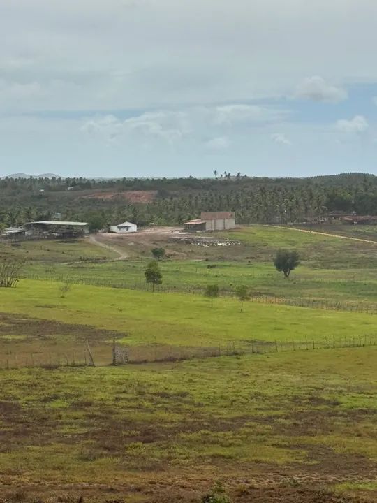 Fazenda em Estância a venda  - Foto 5